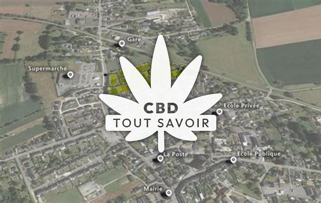 Village à Plerguer avec feuille Cannabis CBD