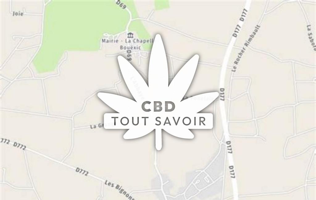 Village à Loheac avec feuille Cannabis CBD