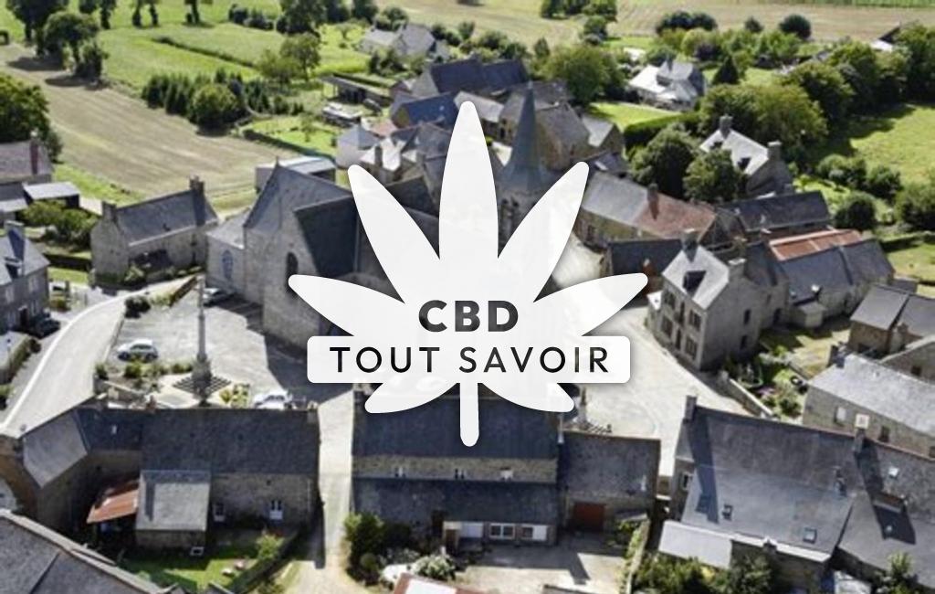 Village à Noyal-sous-Bazouges avec feuille Cannabis CBD