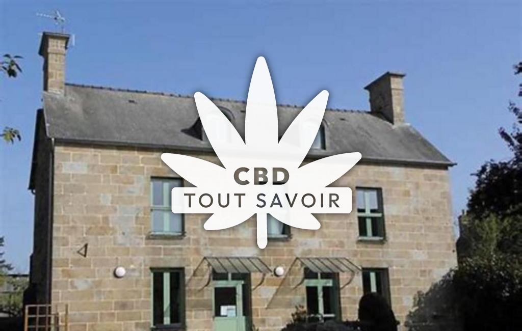 Village à Rimou avec feuille Cannabis CBD
