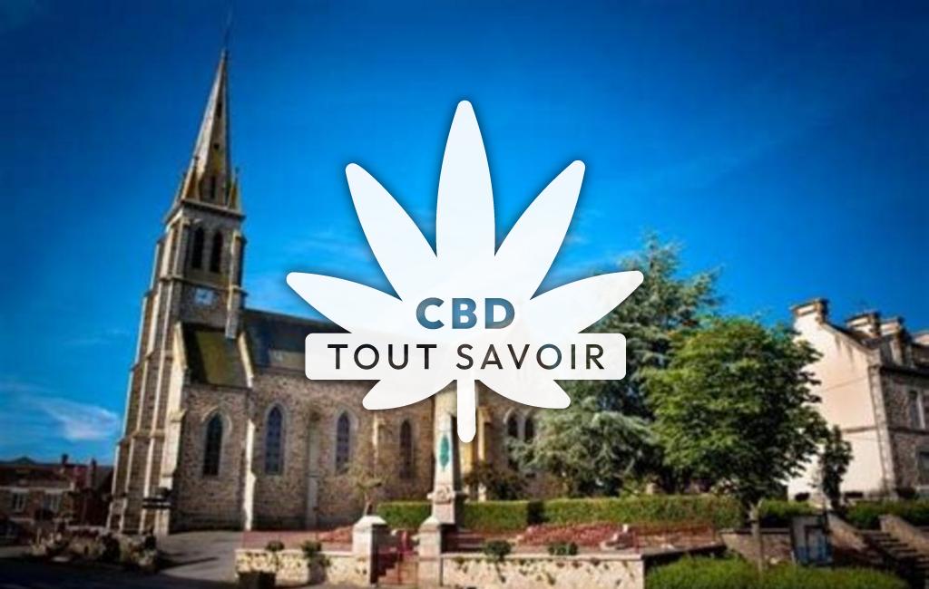 Village à Saint-Remy-du-Plain avec feuille Cannabis CBD
