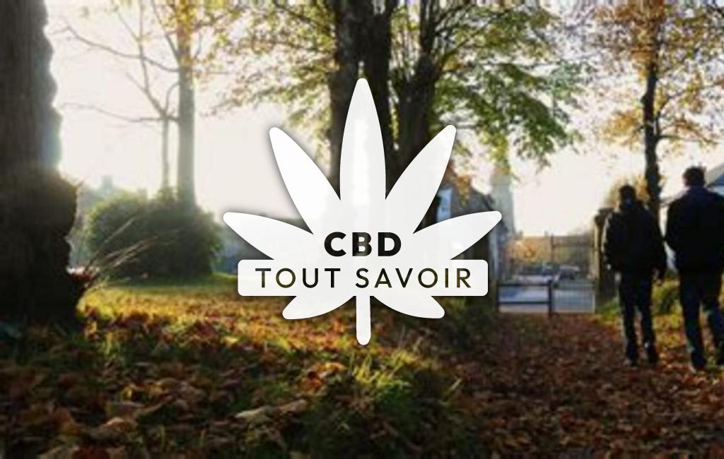 Village à Goven avec feuille Cannabis CBD