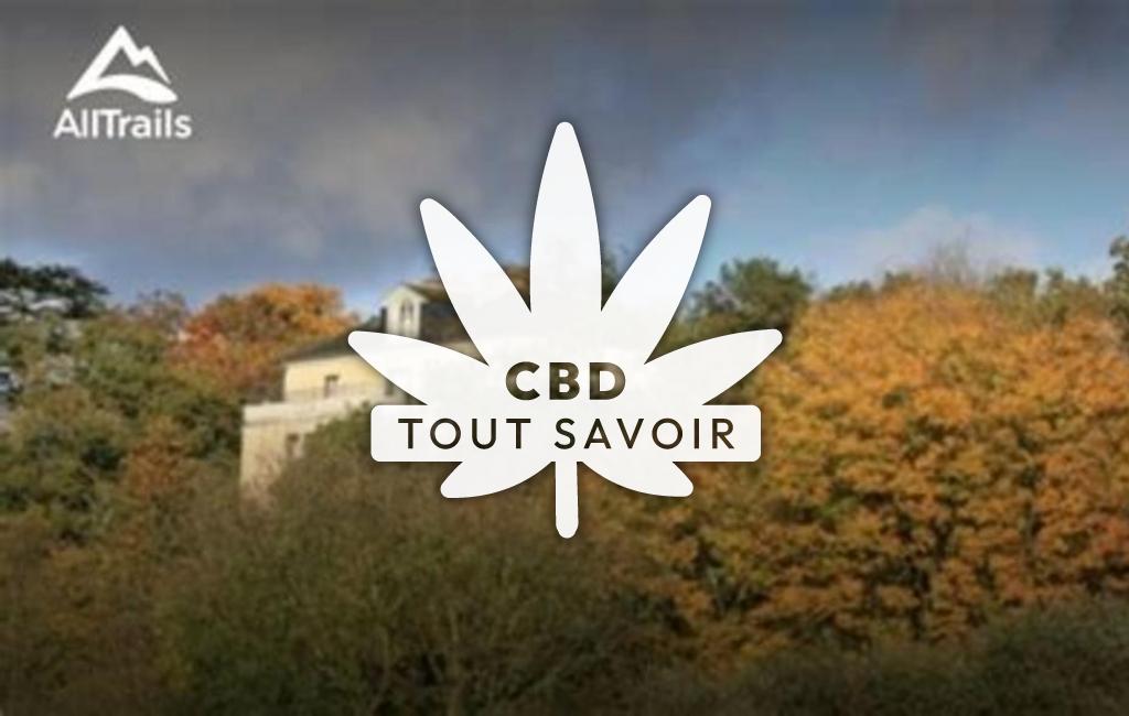 Village à Guichen avec feuille Cannabis CBD