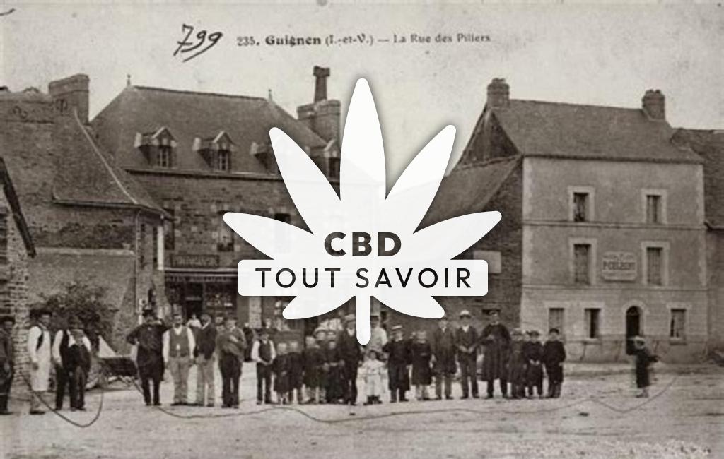 Village à Guignen avec feuille Cannabis CBD