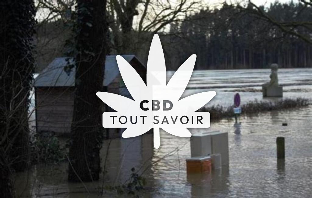 Village à Saint-Senoux avec feuille Cannabis CBD