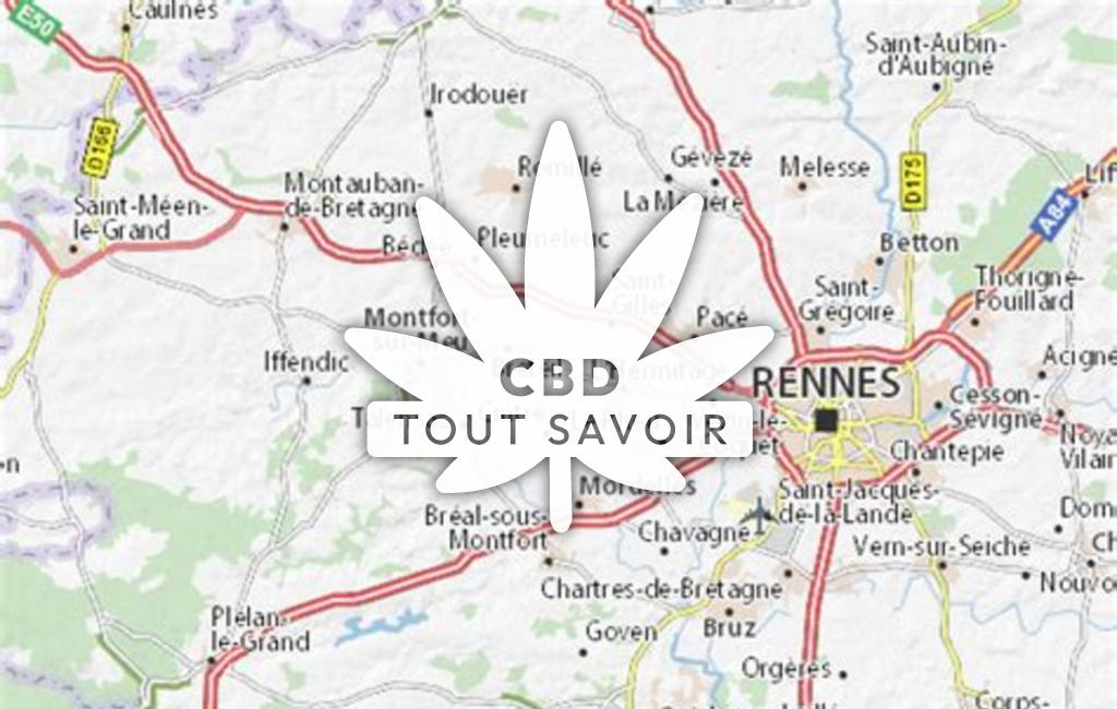 Village à La-Chapelle-Thouarault avec feuille Cannabis CBD