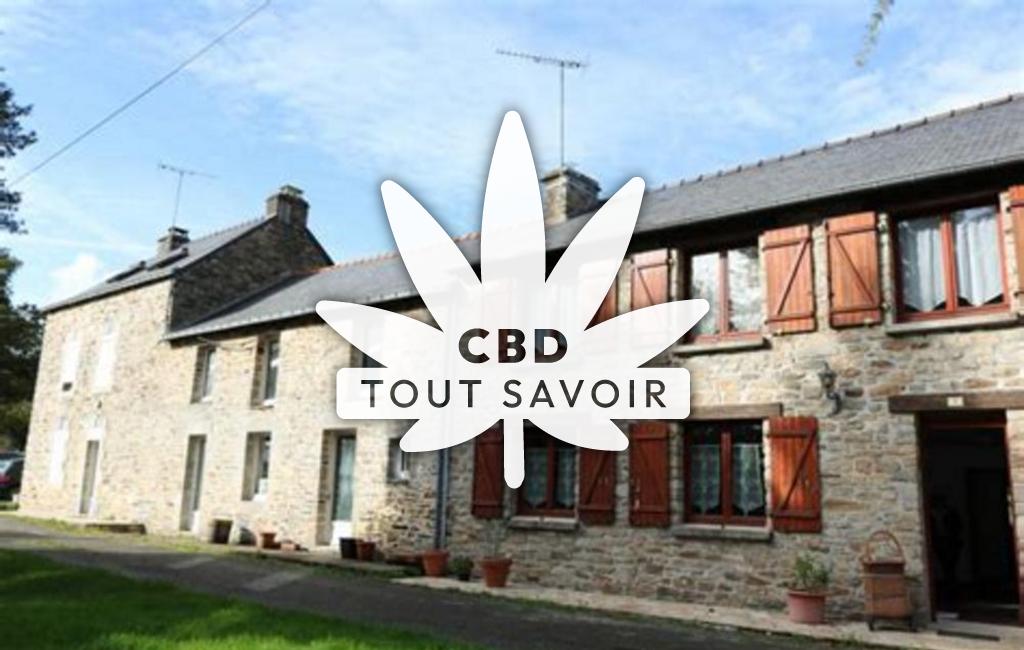 Village à Bains-sur-Oust avec feuille Cannabis CBD