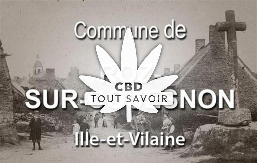 Village à Roz-sur-Couesnon avec feuille Cannabis CBD