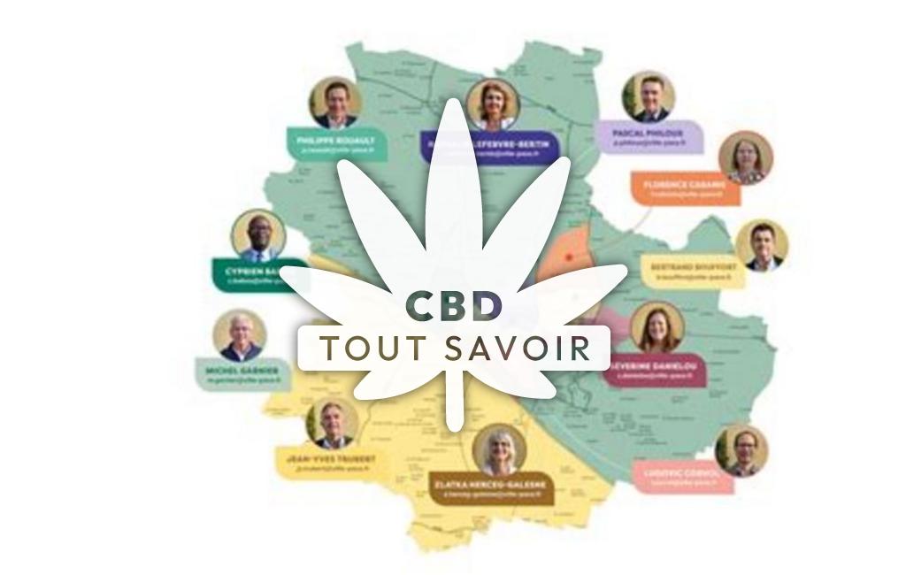 Village à Sains avec feuille Cannabis CBD