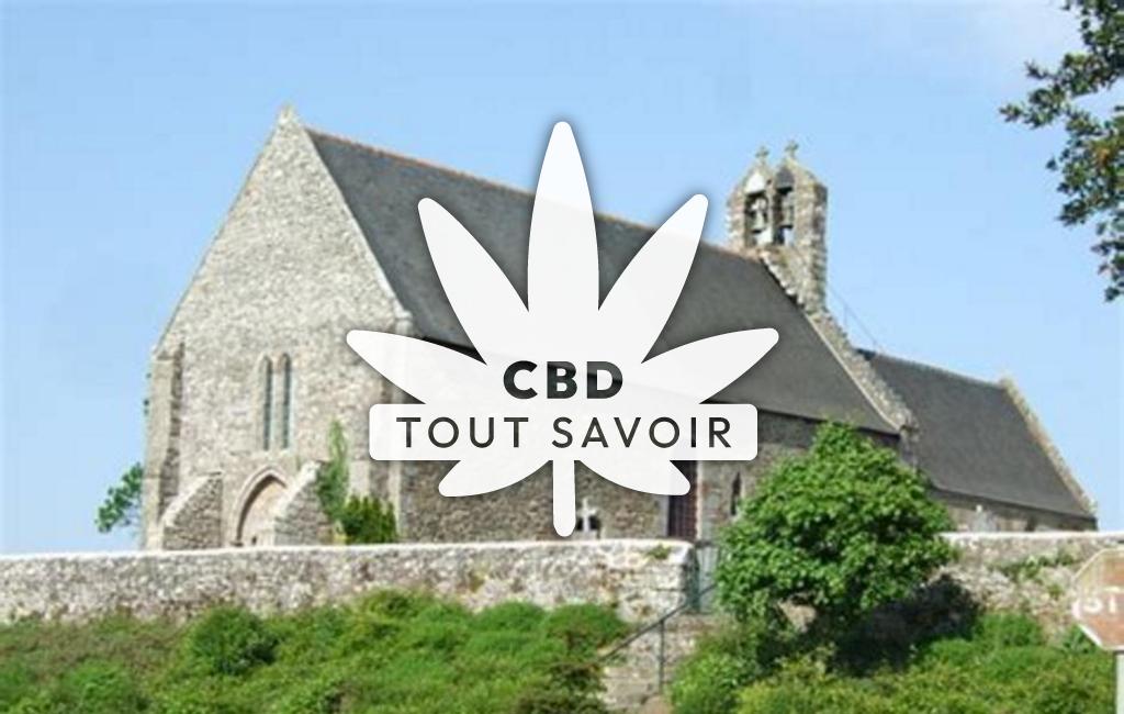 Village à Saint-Georges-de-Grehaigne avec feuille Cannabis CBD