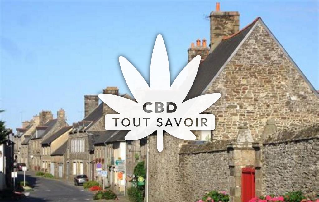 Village à Trans-la-Foret avec feuille Cannabis CBD