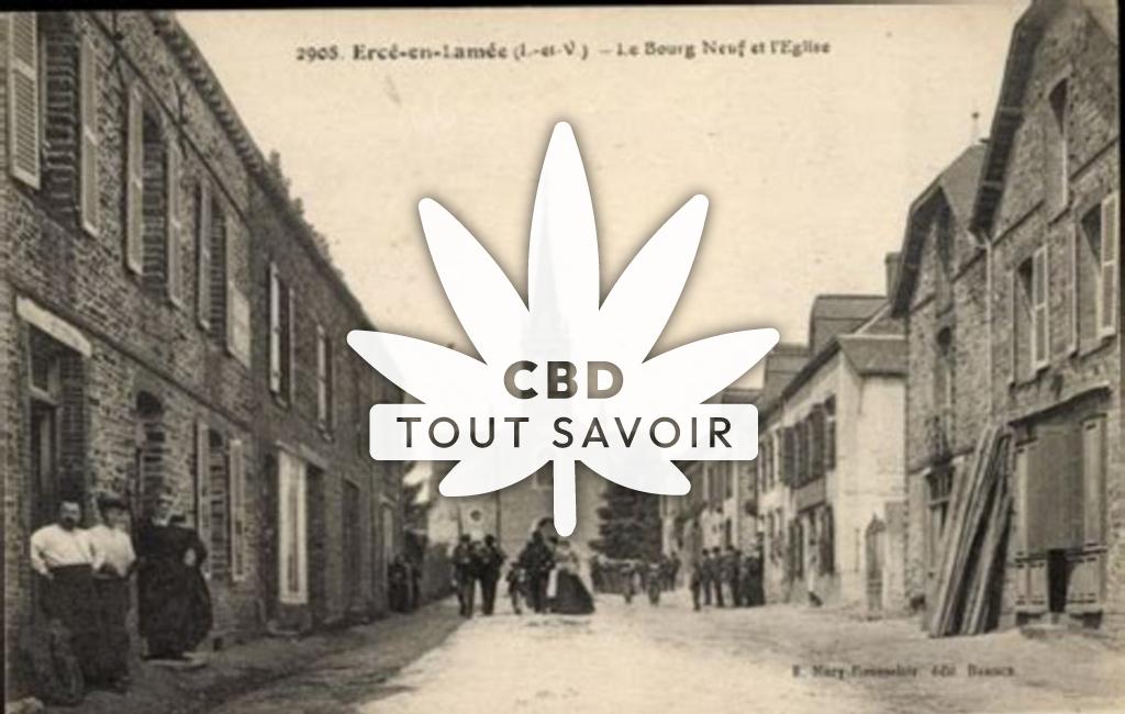 Village à Erce-en-Lamee avec feuille Cannabis CBD