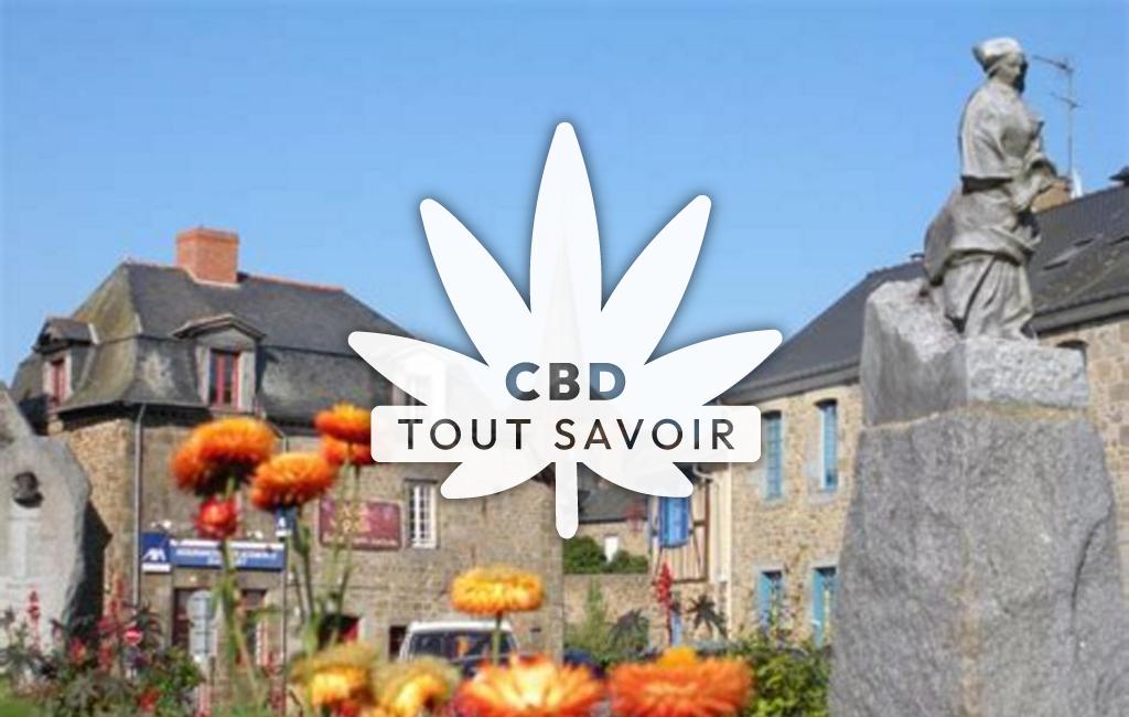Village à Hede-Bazouges avec feuille Cannabis CBD