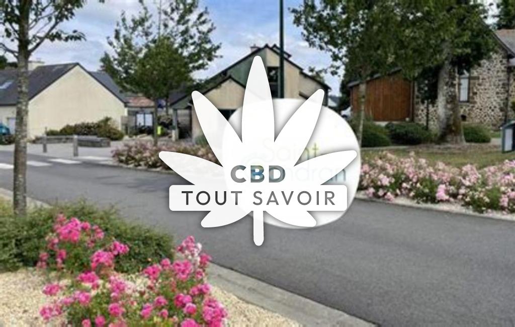Village à Saint-Gondran avec feuille Cannabis CBD