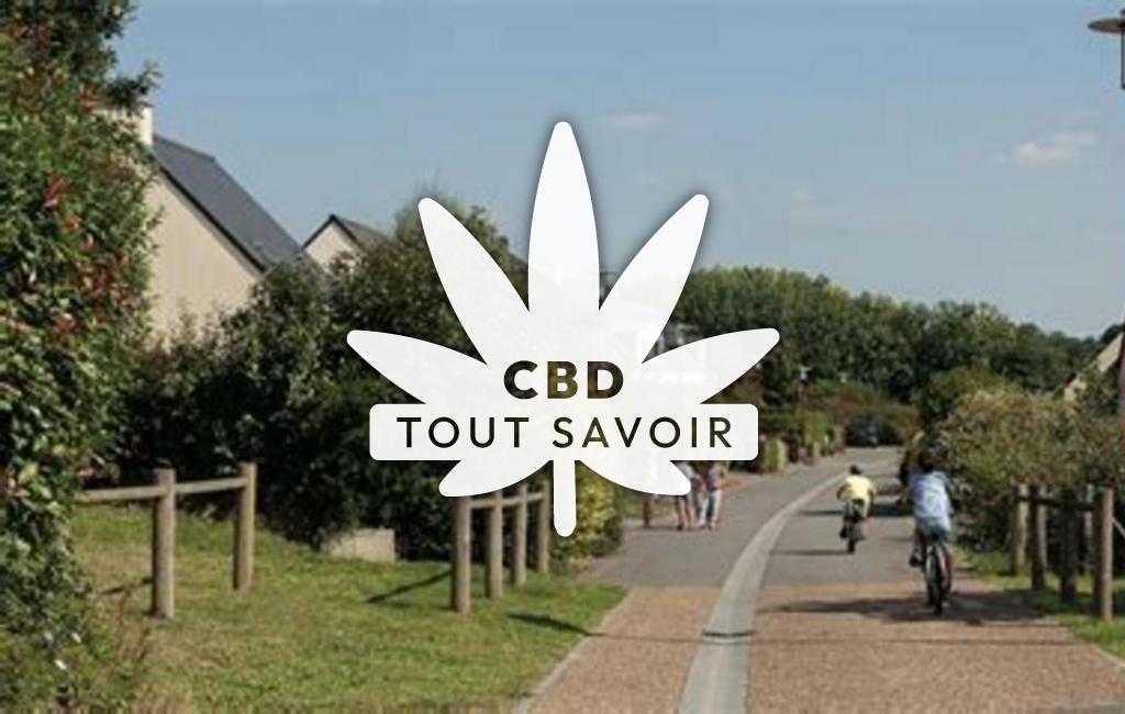 Village à Vignoc avec feuille Cannabis CBD
