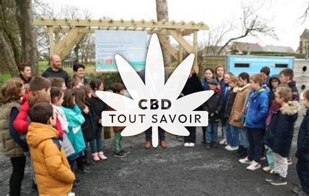 Village à Chelun avec feuille Cannabis CBD
