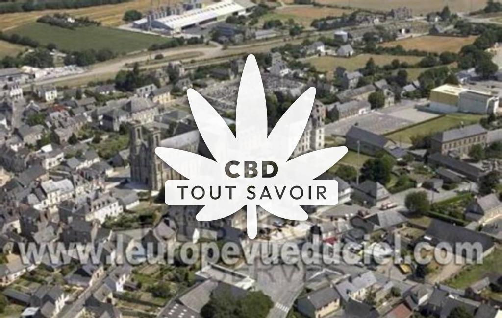 Village à Martigne-Ferchaud avec feuille Cannabis CBD