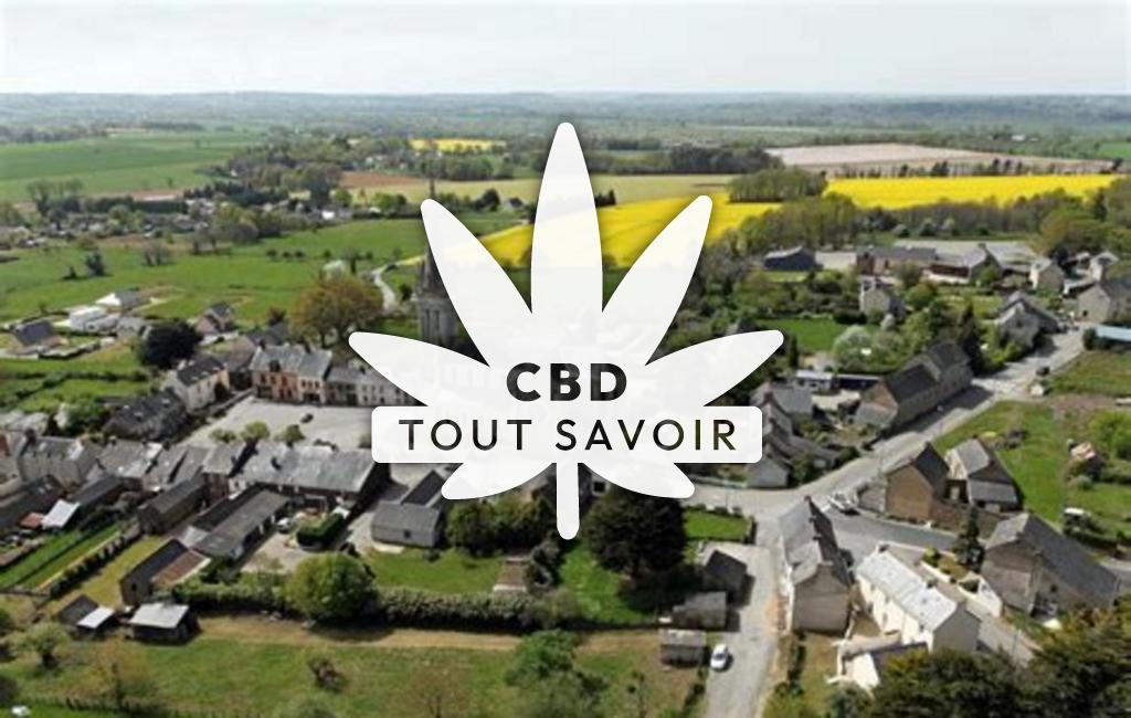 Village à La-Chapelle-de-Brain avec feuille Cannabis CBD