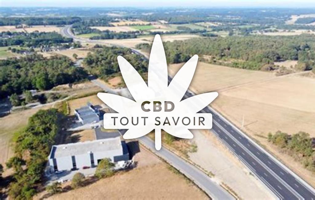 Village à Renac avec feuille Cannabis CBD