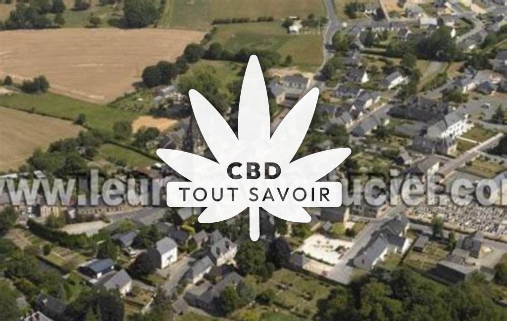 Village à Domalain avec feuille Cannabis CBD