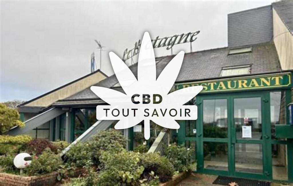 Village à Louvigne-de-Bais avec feuille Cannabis CBD