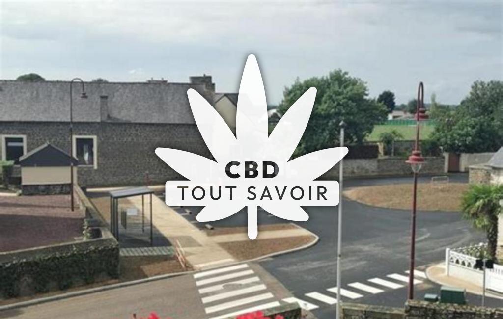 Village à Plesder avec feuille Cannabis CBD