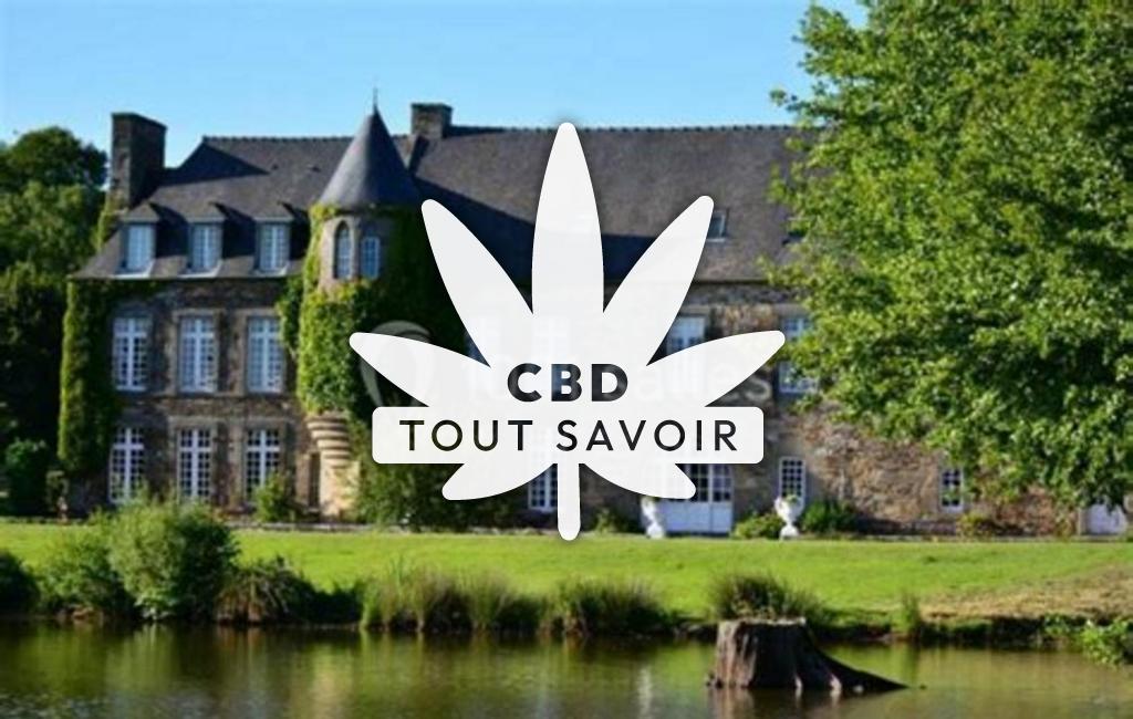 Village à Pleugueneuc avec feuille Cannabis CBD