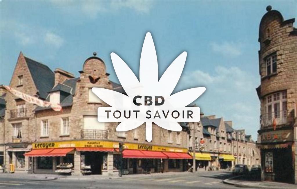 Village à Pleurtuit avec feuille Cannabis CBD