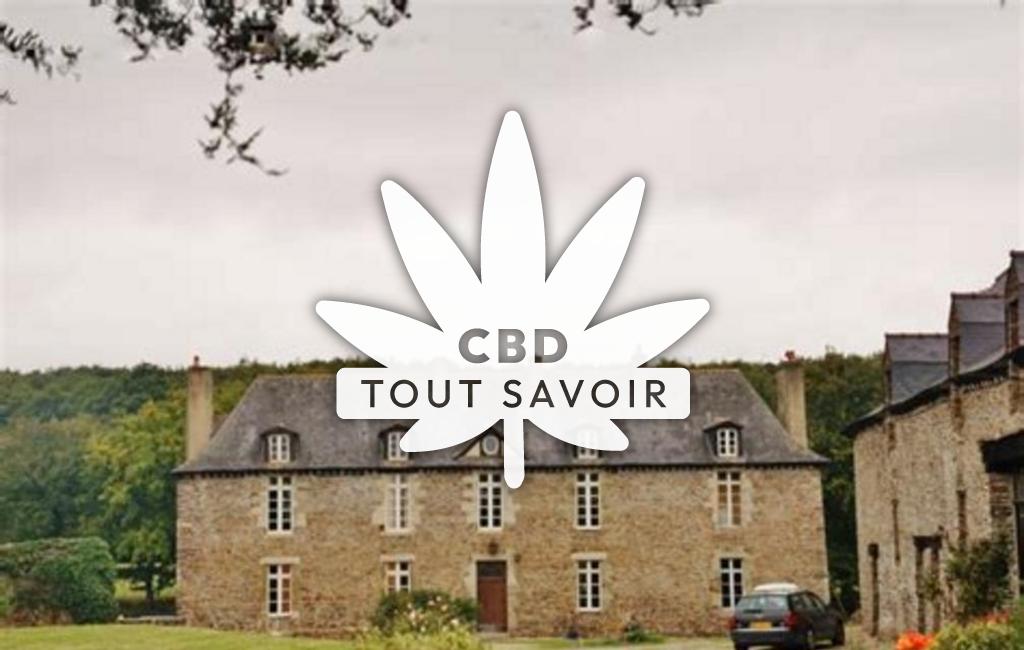 Village à Bleruais avec feuille Cannabis CBD