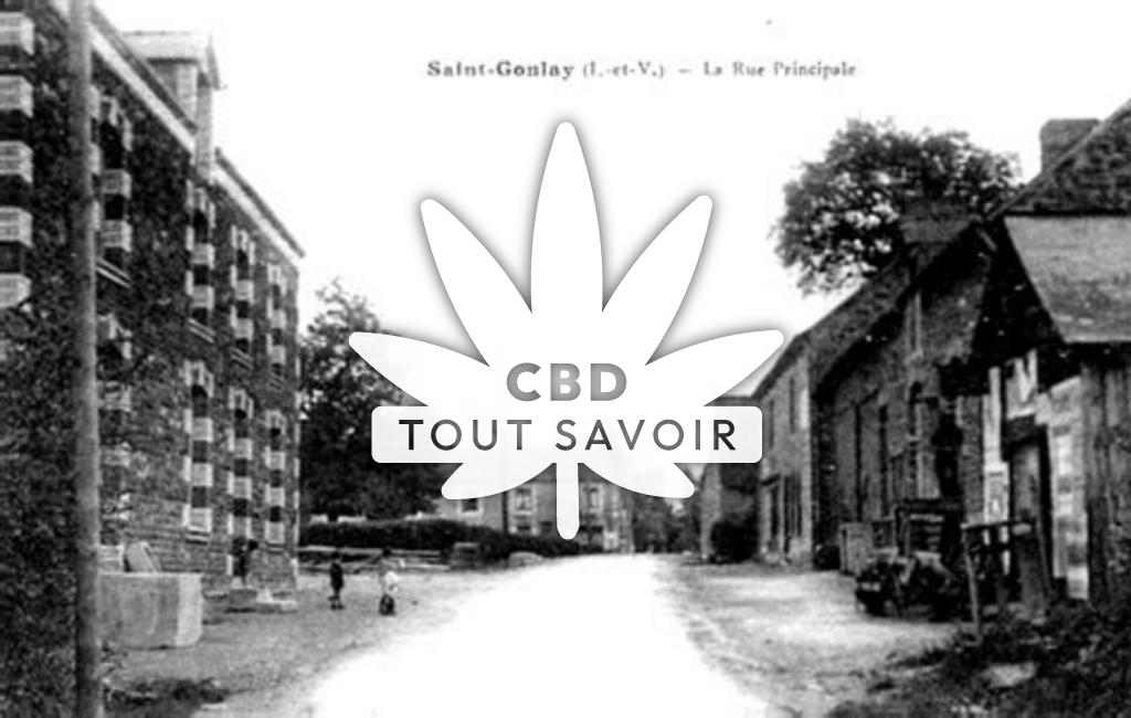 Village à Saint-Gonlay avec feuille Cannabis CBD