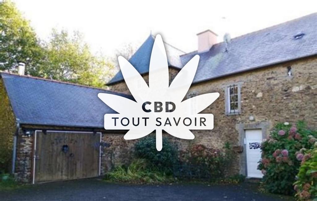 Village à Saint-Maugan avec feuille Cannabis CBD
