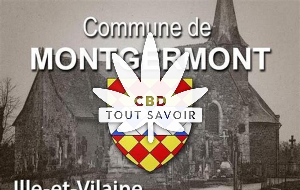 Village à Montgermont avec feuille Cannabis CBD