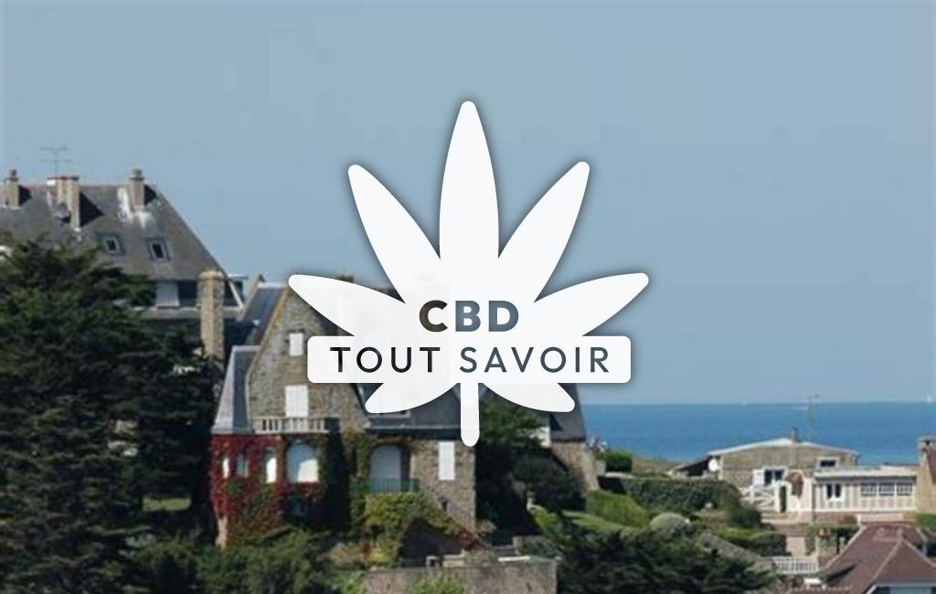 Village à Saint-Lunaire avec feuille Cannabis CBD
