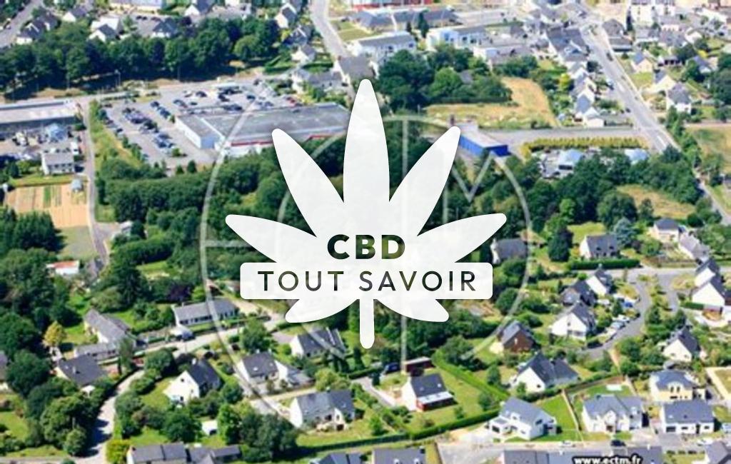Village à Geveze avec feuille Cannabis CBD