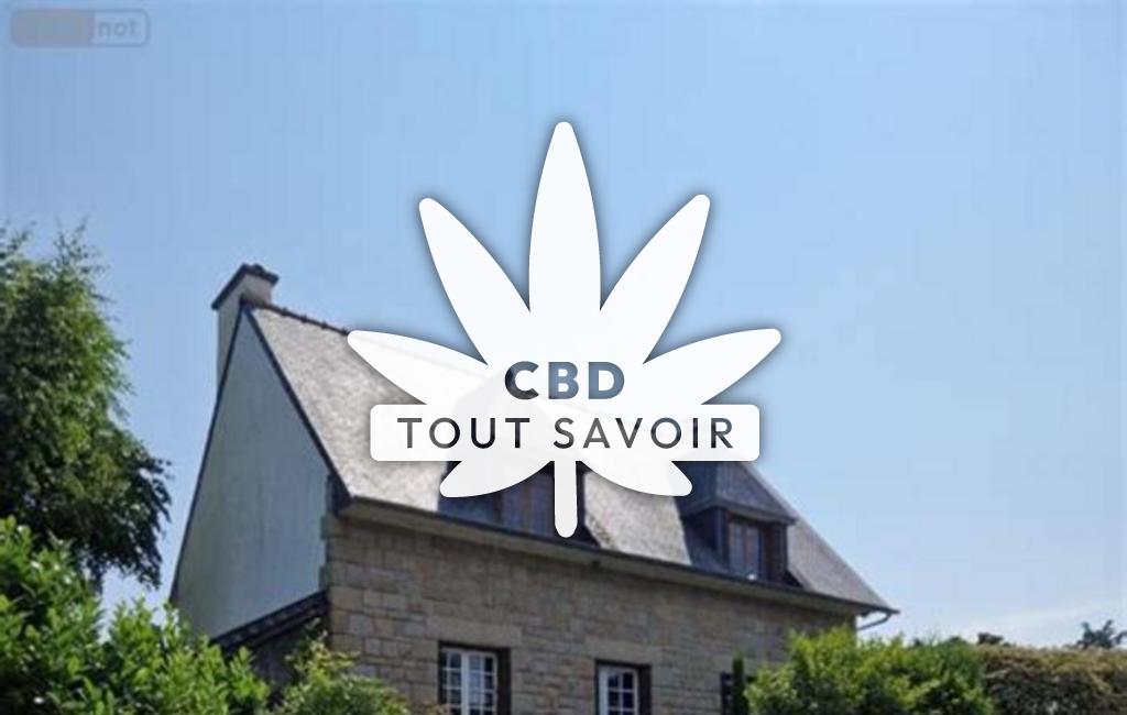 Village à Le-Minihic-sur-Rance avec feuille Cannabis CBD