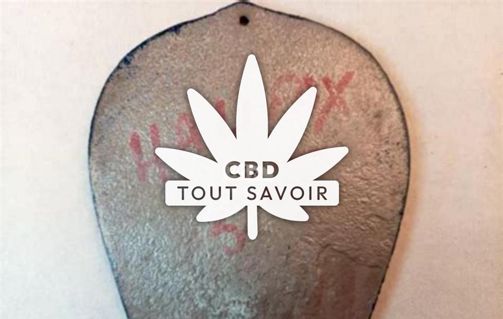 Village à Bourg-des-Comptes avec feuille Cannabis CBD