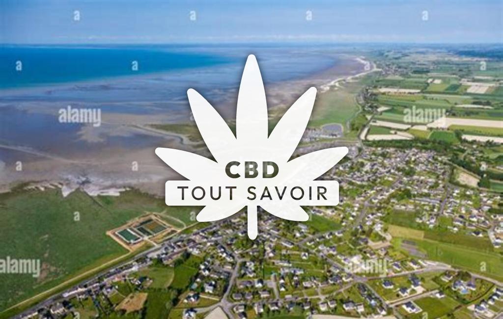 Village à Le-Vivier-sur-Mer avec feuille Cannabis CBD