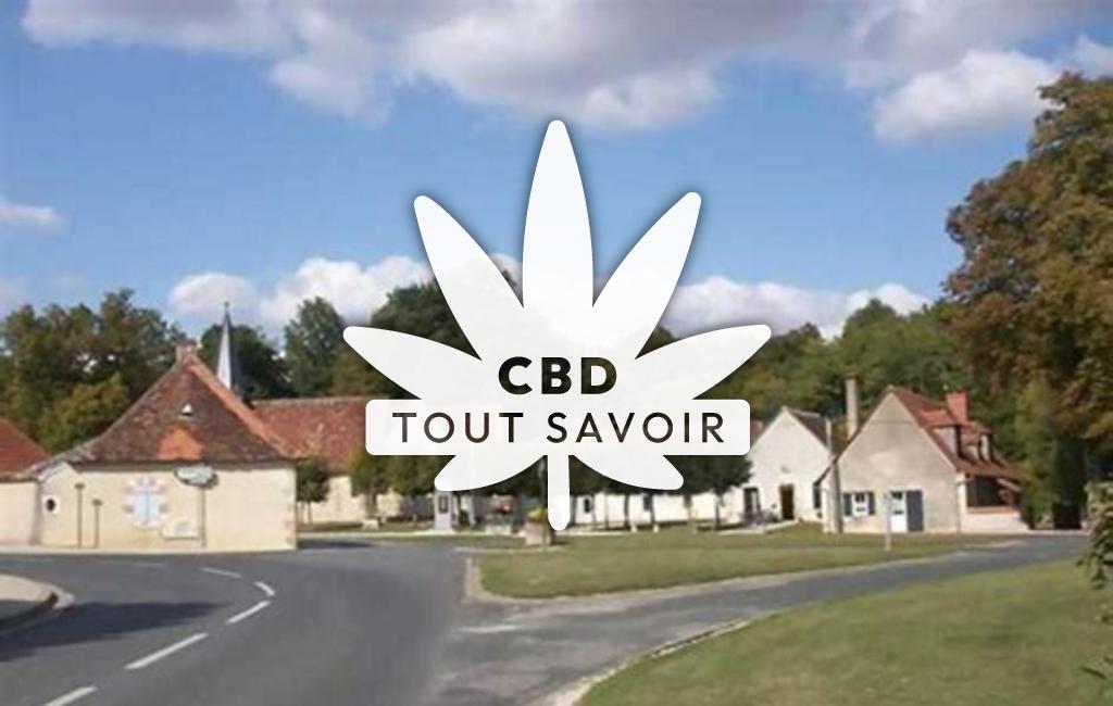Village à Villegongis avec feuille Cannabis CBD