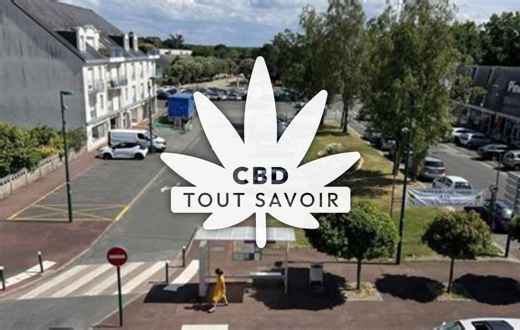 Village à Saint-Aout avec feuille Cannabis CBD