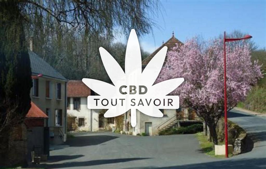 Village à Crozon-sur-Vauvre avec feuille Cannabis CBD