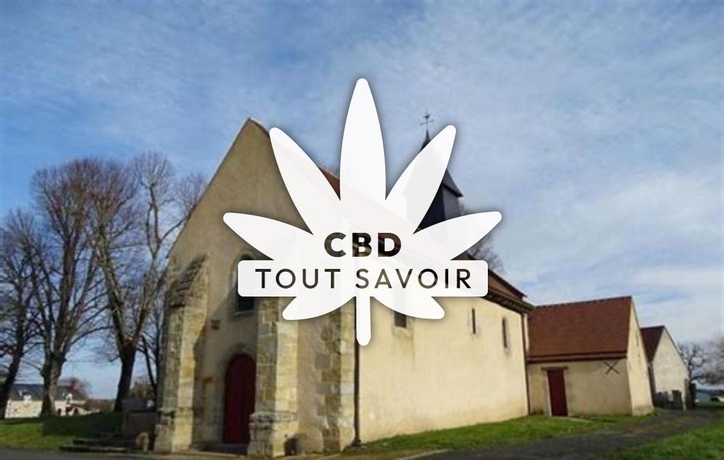 Village à Meunet-sur-Vatan avec feuille Cannabis CBD
