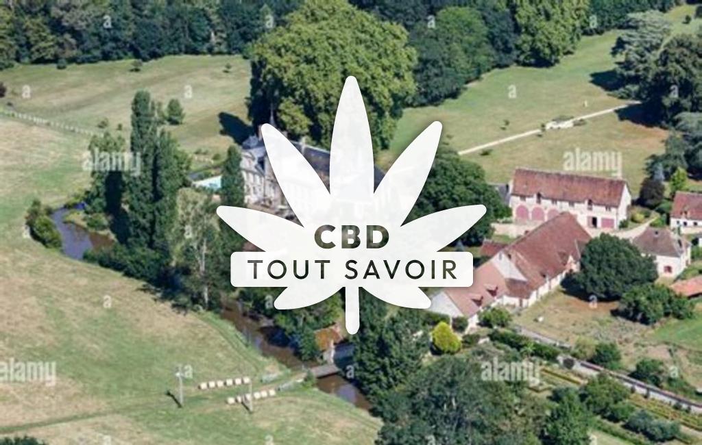 Village à Dun-le-Poelier avec feuille Cannabis CBD