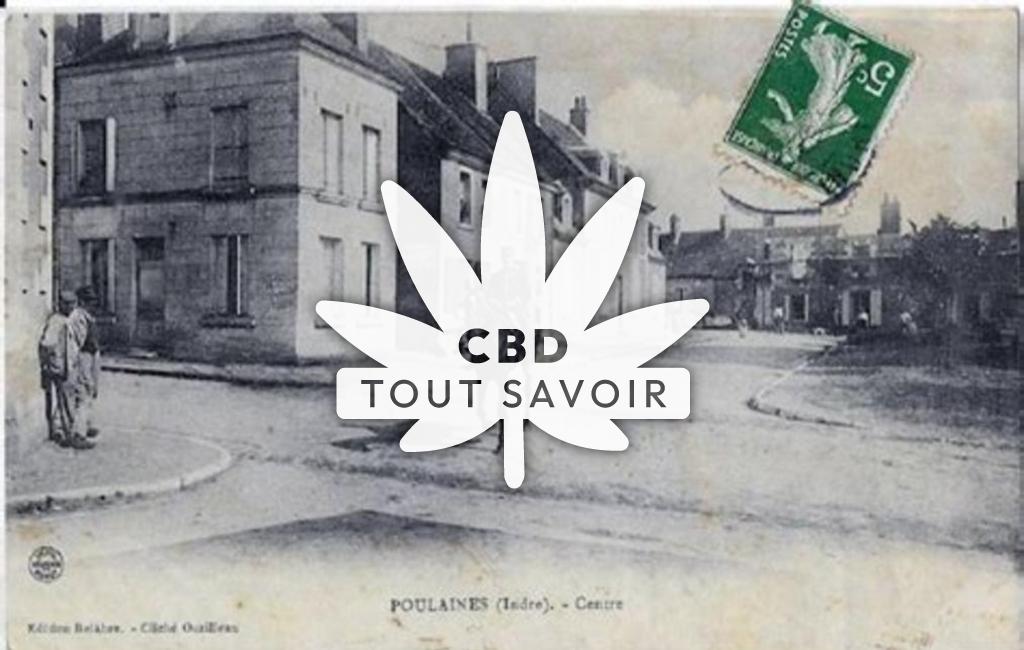 Village à Poulaines avec feuille Cannabis CBD