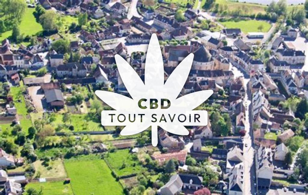 Village à Neuvy-Saint-Sepulchre avec feuille Cannabis CBD