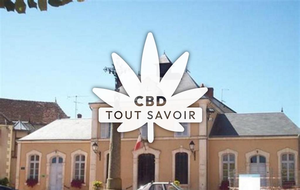Village à Saint-Denis-de-Jouhet avec feuille Cannabis CBD