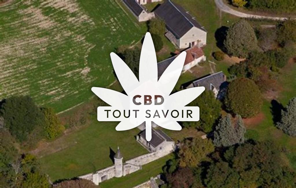 Village à Migny avec feuille Cannabis CBD