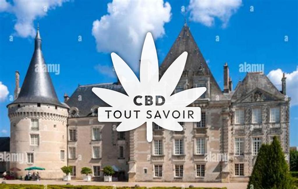 Village à Azay-le-Ferron avec feuille Cannabis CBD