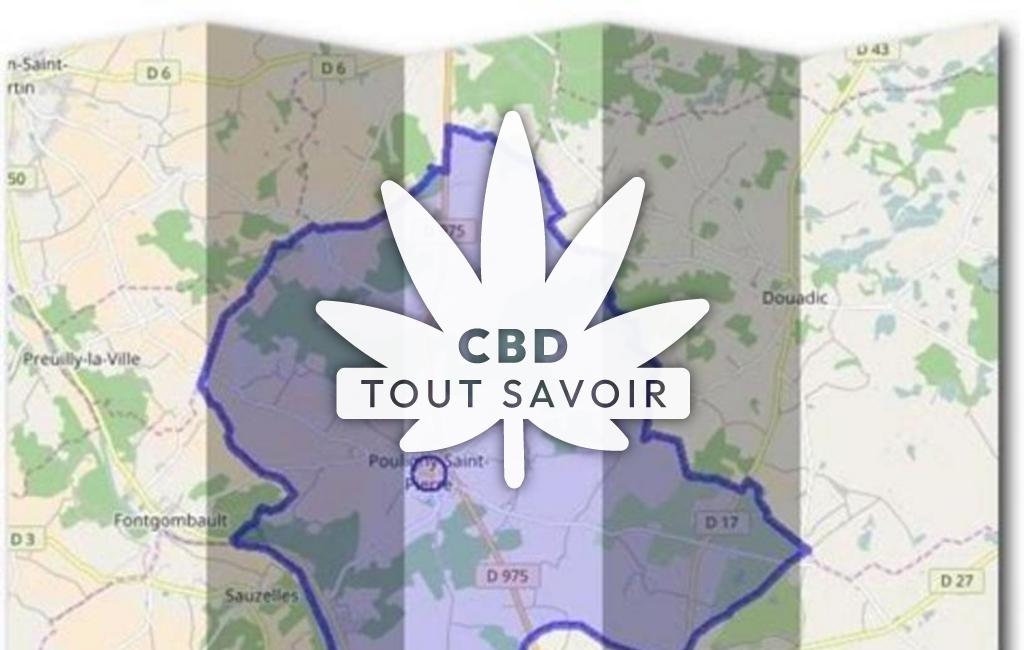 Village à Pouligny-Saint-Pierre avec feuille Cannabis CBD