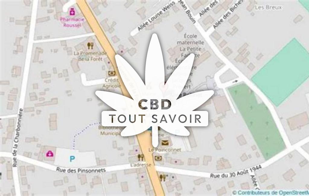 Village à Le-Poinconnet avec feuille Cannabis CBD