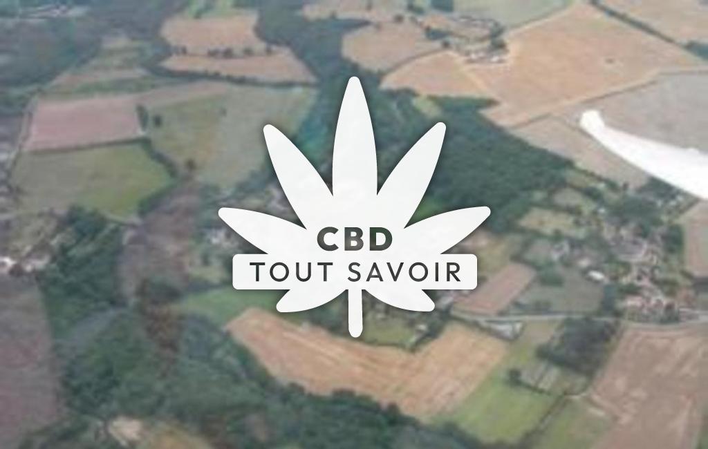 Village à Saint-Hilaire-sur-Benaize avec feuille Cannabis CBD